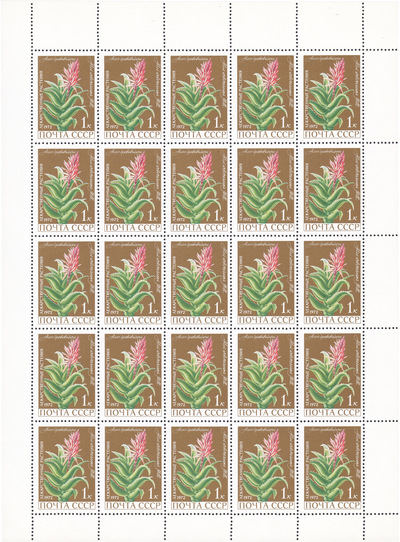 1 Kopeck (1972)