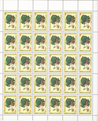 1 Kopeck (1973)